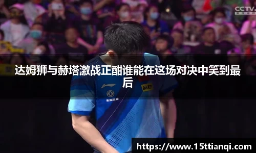 达姆狮与赫塔激战正酣谁能在这场对决中笑到最后